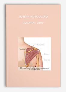 Joseph Muscolino - Rotator Cuff