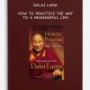 Dalai Lama - How to Practice The Way to a Meaningful Life