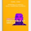 Nabeel Azeez – Profitable AF Emails: email marketing playbook