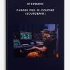 Steinberg - Cubase Pro 12 Content (SOUNDBANK)