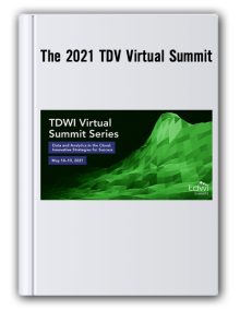 The 2021 TDV Virtual Summit