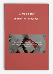 Alyssa Brady – Winning at WordPress