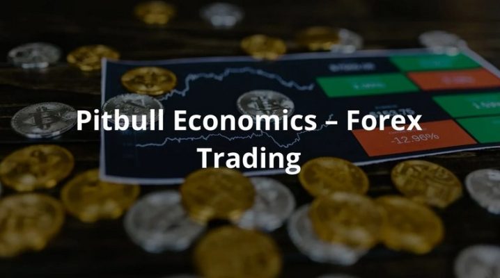 Pitbull Economics – Forex Trading