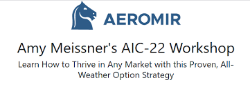 Aeromir – Amy Meissner’s AIC-22 Workshop