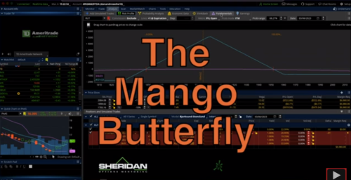 Jay Bailey - The Mango Butterfly Deep Dive 2023