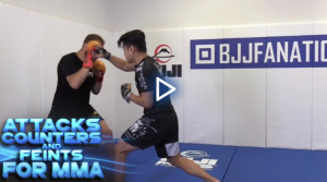 Randy Steinke – Attacks & Counters and Feints for MMA