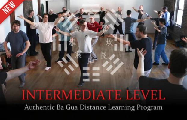 Tom Bisio - Intermediate Level of the Authentic Ba Gua Zhang