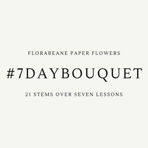 Amity Katharine Libby vs Sam Taylor – #7DAYBOUQUET