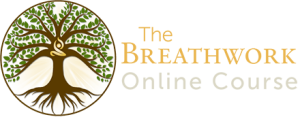 Lee Holden – The Breathwork Online Course