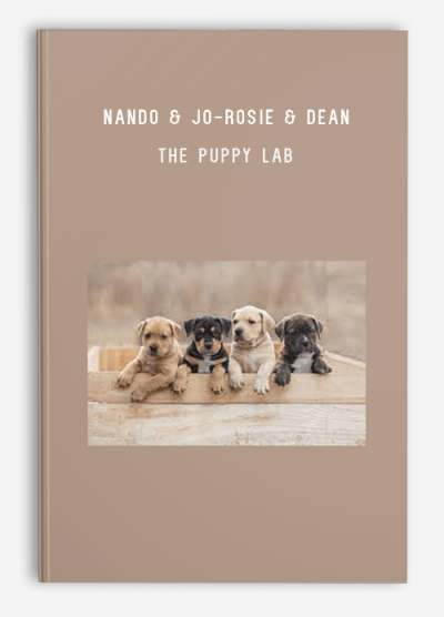 Nando & Jo-Rosie & Dean – The Puppy Lab