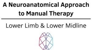 Ryan Foley – A Neuroanatomical Approach to Manual Therapy – Lower Limb & Lower Midline