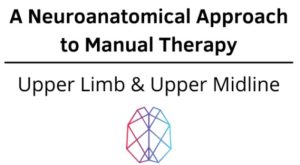 Ryan Foley – A Neuroanatomical Approach to Manual Therapy – Upper Limb & Upper Midline