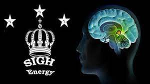 Sigh Energy – Brain Improvement Process Powerful Plus +11x (Further Sturdy)