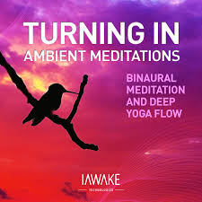 iAwake Technologies – Turning In – Ambient Meditations