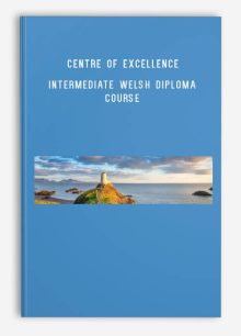 Centre of Excellence – Intermediate Welsh Diploma Course