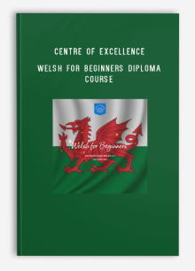 Centre of Excellence – Welsh for Beginners Diploma Course