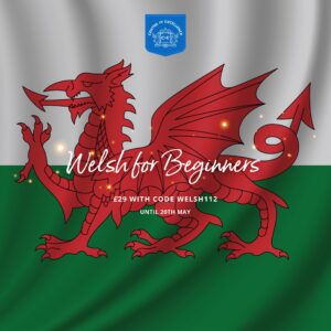 Centre of Excellence – Welsh for Beginners Diploma Course