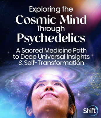 Chris Bache – Exploring the Cosmic Mind Through Psychedelics