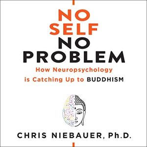 Chris Niebauer – No Self No Problem How Neuropsychology is Catching Up to Buddhism