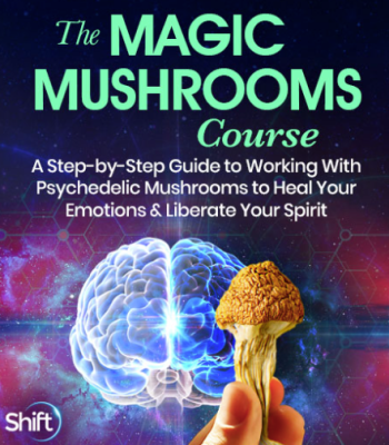 Christopher Hobbs – The Magic Mushrooms Course