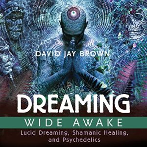 David Jay Brown – Dreaming Wide Awake Lucid Dreaming & Shamanic Healing and Psychedelics