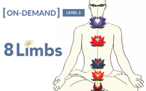 Gregor Maehle – Meditation Level 3 Course