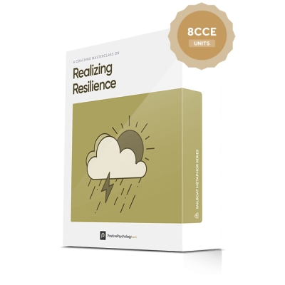 Hugo Alberts – Realizing Resilience