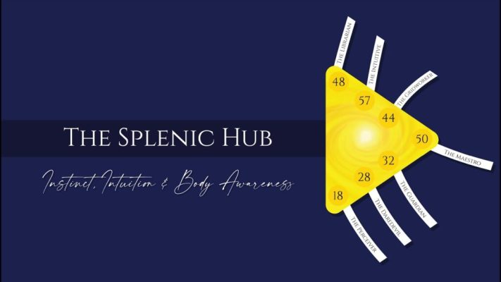 Unlock Your Design Academy – The 7 Splenic Hub Archetypes